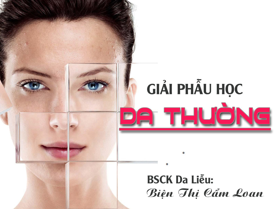 GIẢI PHẨU HỌC CHO DA THƯỜNG
