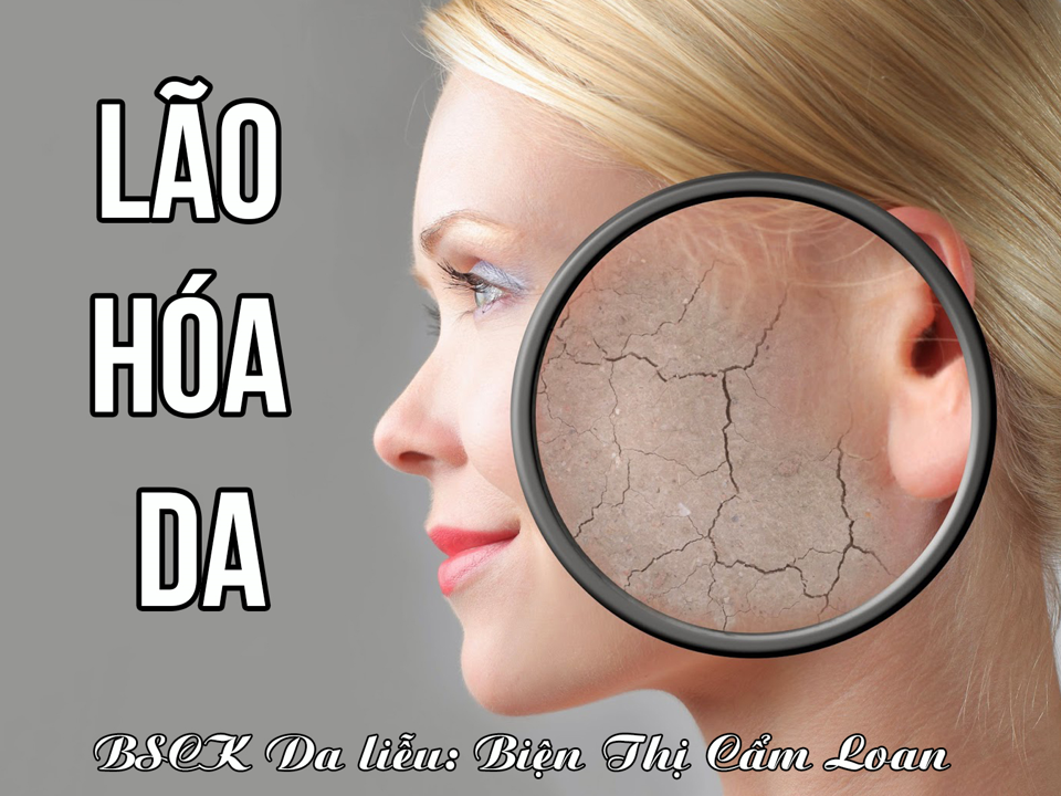 LÃO HÓA DA VÀ DIỄN BIẾN